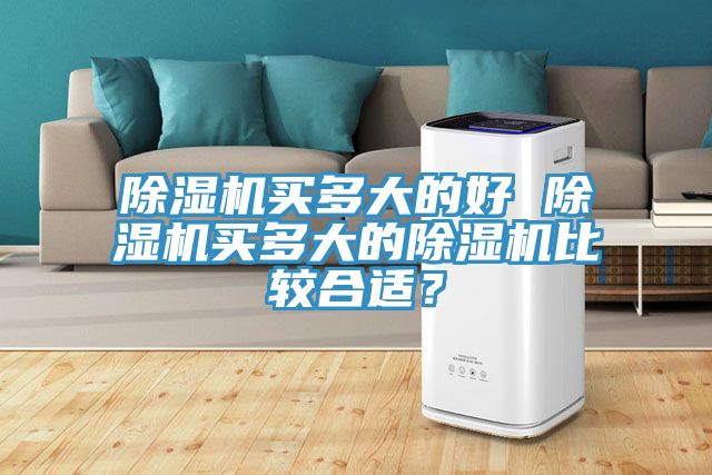 猫咪成人官网买多大的好 猫咪成人官网买多大的猫咪成人官网比较合适？