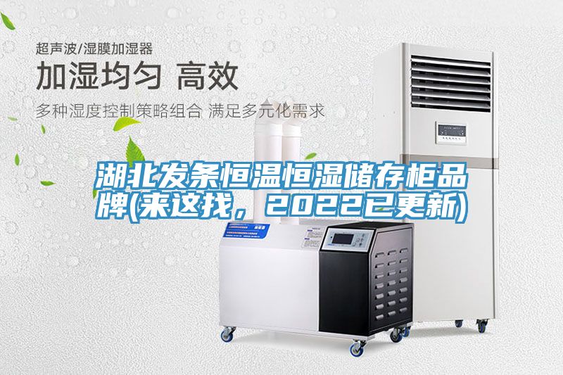 湖北发条恒温恒湿储存柜品牌(来这找，2022已更新)
