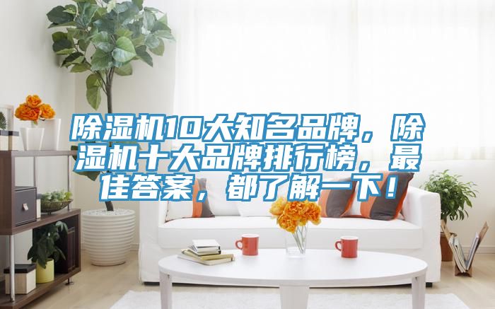猫咪成人官网10大知名品牌，猫咪成人官网十大品牌排行榜，最佳答案，都了解一下！