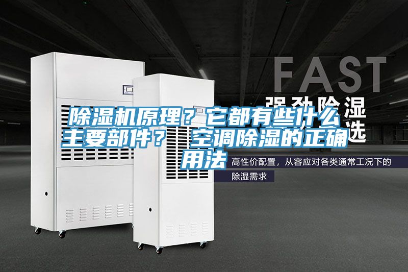 猫咪成人官网原理？它都有些什么主要部件？ 空调除湿的正确用法