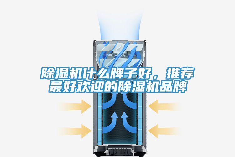 猫咪成人官网什么牌子好，推荐最好欢迎的猫咪成人官网品牌
