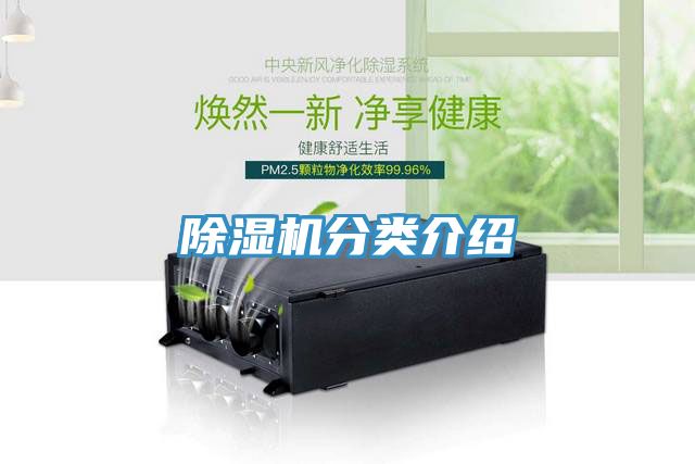 猫咪成人官网分类介绍