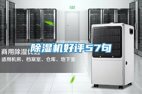 猫咪成人官网好评57句