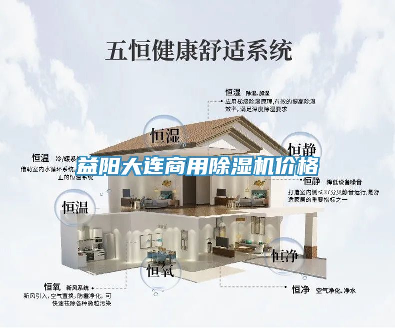 益阳大连商用猫咪成人官网价格