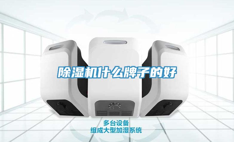 猫咪成人官网什么牌子的好