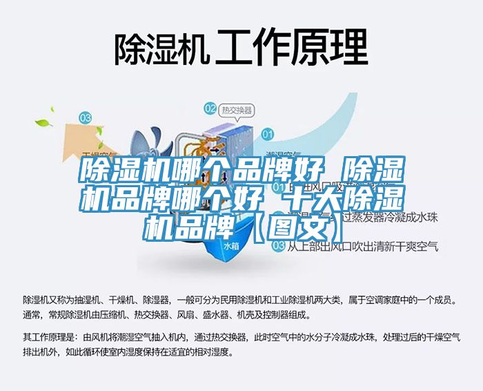 猫咪成人官网哪个品牌好 猫咪成人官网品牌哪个好 十大猫咪成人官网品牌【图文】