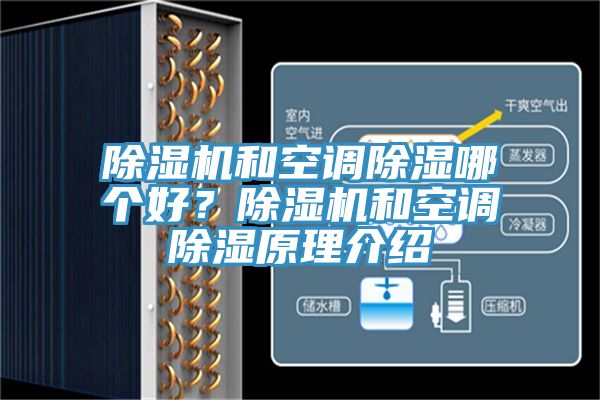 猫咪成人官网和空调除湿哪个好？猫咪成人官网和空调除湿原理介绍