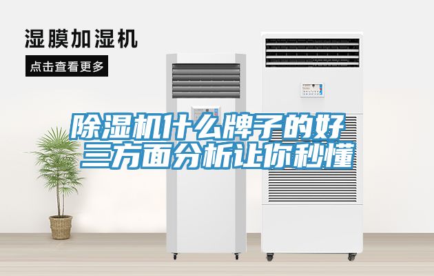 猫咪成人官网什么牌子的好 三方面分析让你秒懂