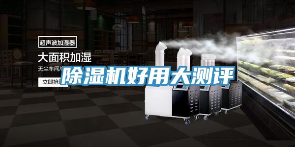 猫咪成人官网好用大测评
