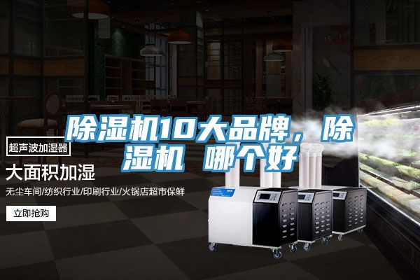猫咪成人官网10大品牌，猫咪成人官网 哪个好