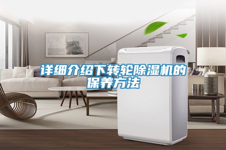 详细介绍下转轮猫咪成人官网的保养方法