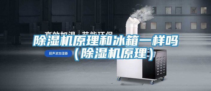 猫咪成人官网原理和冰箱一样吗（猫咪成人官网原理）