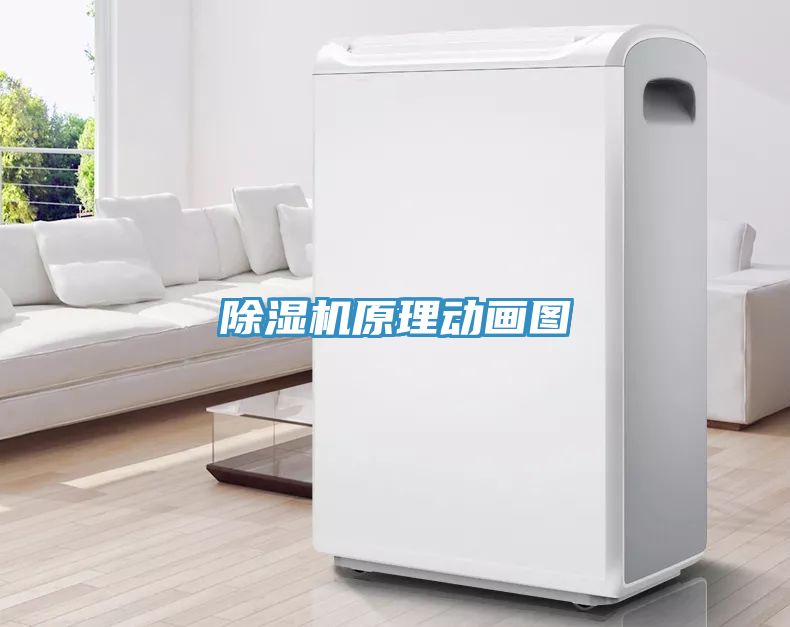 猫咪成人官网原理动画图