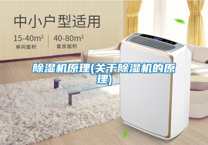 猫咪成人官网原理(关于猫咪成人官网的原理)