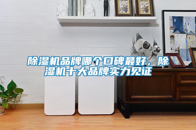 猫咪成人官网品牌哪个口碑最好，猫咪成人官网十大品牌实力见证