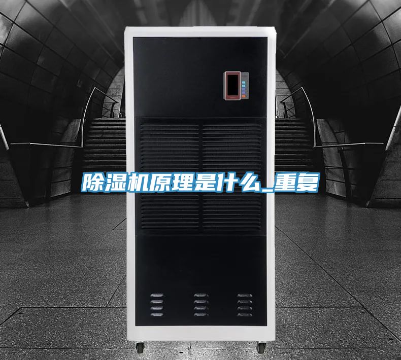 猫咪成人官网原理是什么_重复
