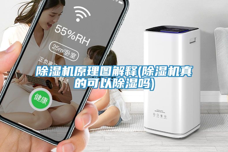 猫咪成人官网原理图解释(猫咪成人官网真的可以除湿吗)