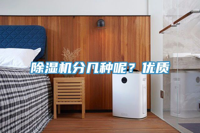 猫咪成人官网分几种呢？优质