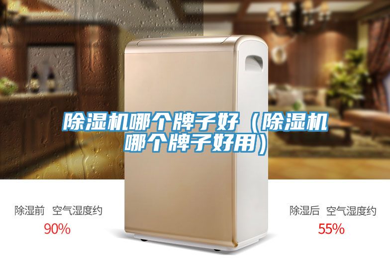 猫咪成人官网哪个牌子好（猫咪成人官网哪个牌子好用）