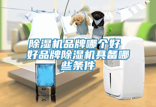 猫咪成人官网品牌哪个好 好品牌猫咪成人官网具备哪些条件