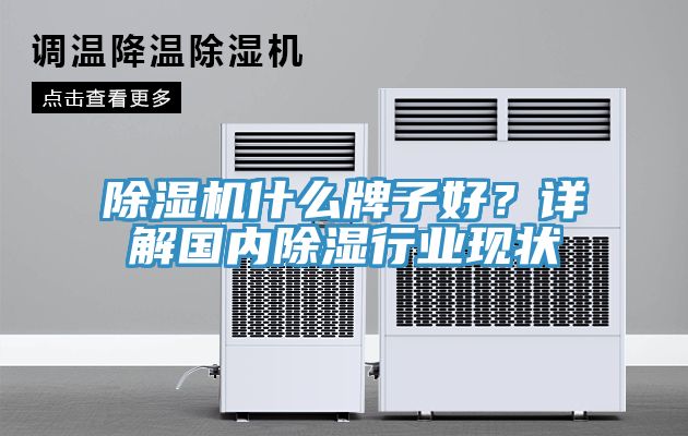 猫咪成人官网什么牌子好？详解国内除湿行业现状