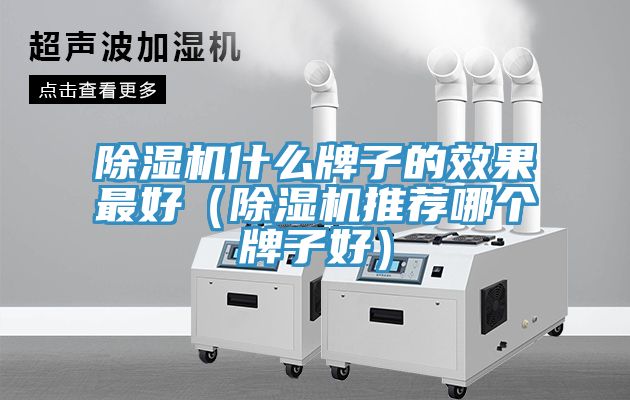 猫咪成人官网什么牌子的效果最好（猫咪成人官网推荐哪个牌子好）