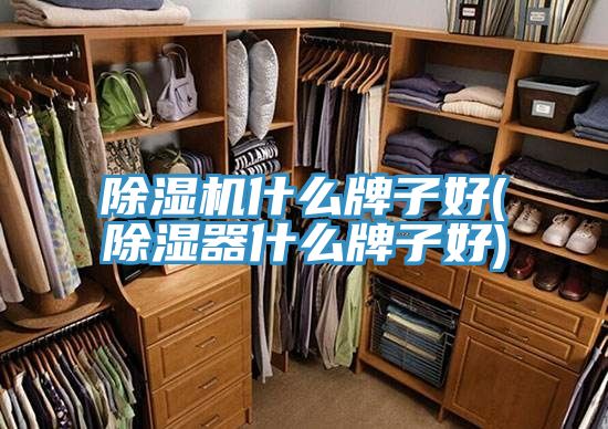 猫咪成人官网什么牌子好(除湿器什么牌子好)