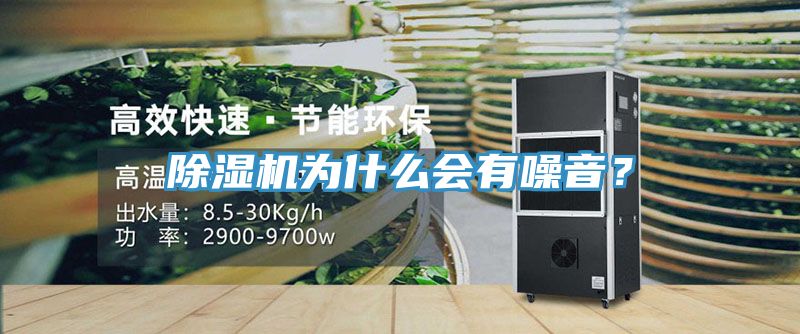 猫咪成人官网为什么会有噪音？