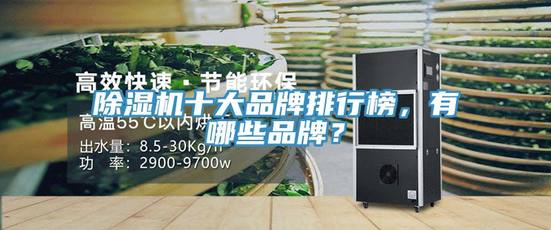 猫咪成人官网十大品牌排行榜，有哪些品牌？