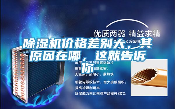 猫咪成人官网价格差别大，其原因在哪，这就告诉你