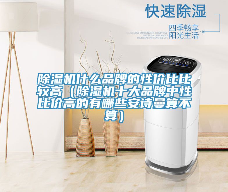 猫咪成人官网什么品牌的性价比比较高（猫咪成人官网十大品牌中性比价高的有哪些猫咪成人在线视频算不算）