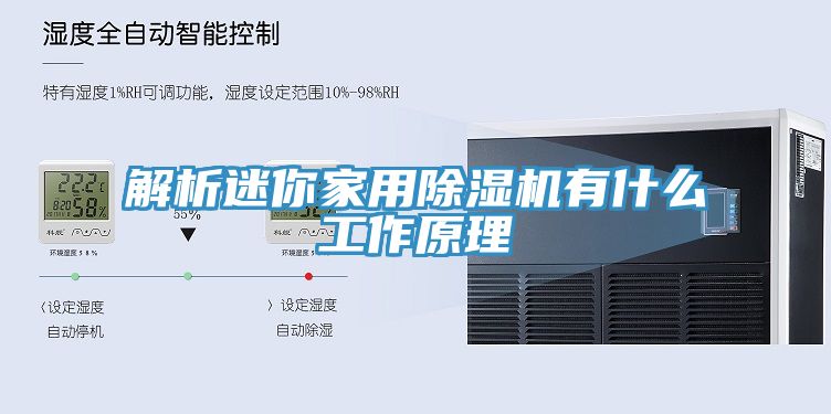 解析迷你家用猫咪成人官网有什么工作原理