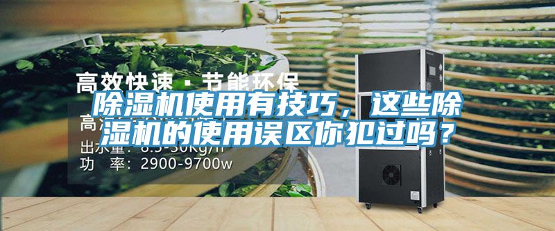 猫咪成人官网使用有技巧，这些猫咪成人官网的使用误区你犯过吗？