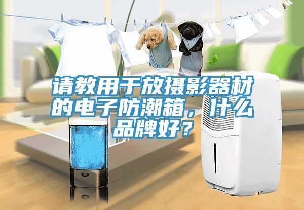 请教用于放摄影器材的电子防潮箱，什么品牌好？