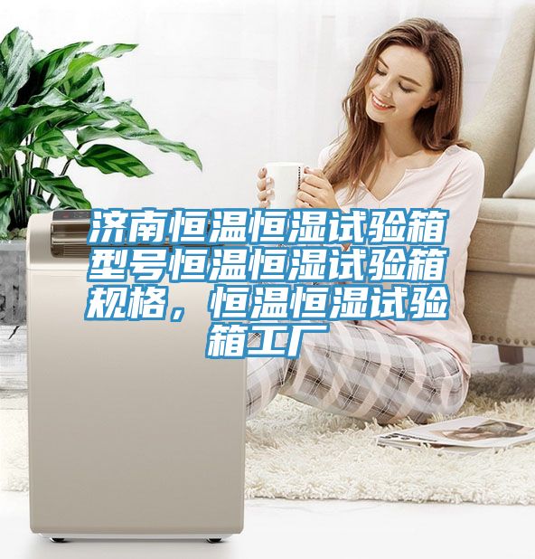 济南恒温恒湿试验箱型号恒温恒湿试验箱规格，恒温恒湿试验箱工厂