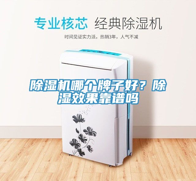 猫咪成人官网哪个牌子好？除湿效果靠谱吗