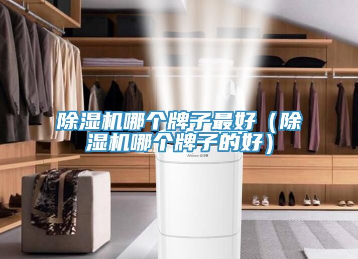 猫咪成人官网哪个牌子最好（猫咪成人官网哪个牌子的好）