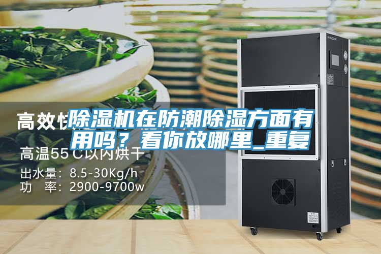 猫咪成人官网在防潮除湿方面有用吗？看你放哪里_重复