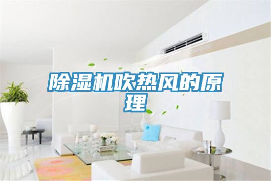猫咪成人官网吹热风的原理
