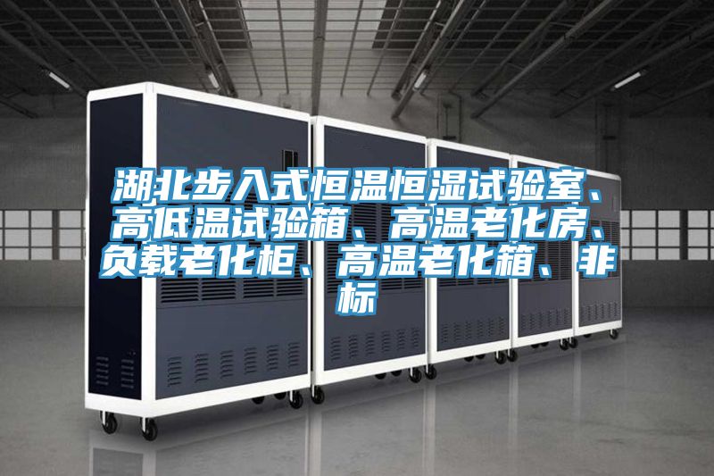 湖北步入式恒温恒湿试验室、高低温试验箱、高温老化房、负载老化柜、高温老化箱、非标