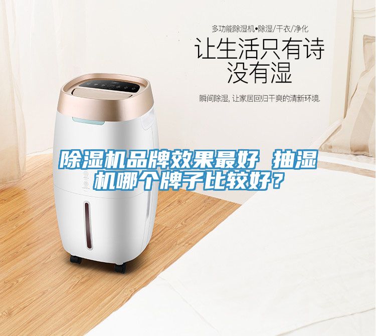 猫咪成人官网品牌效果最好 抽湿机哪个牌子比较好？