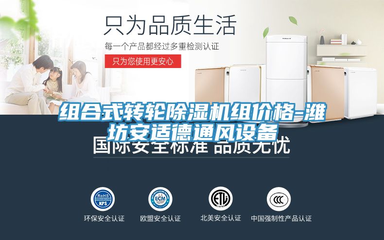 组合式转轮猫咪成人官网组价格-潍坊安适德通风设备