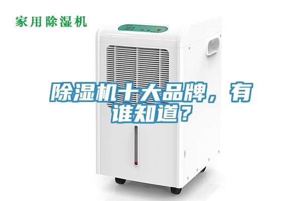 猫咪成人官网十大品牌，有谁知道？