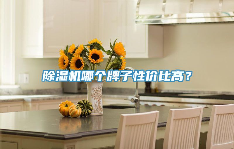 猫咪成人官网哪个牌子性价比高？