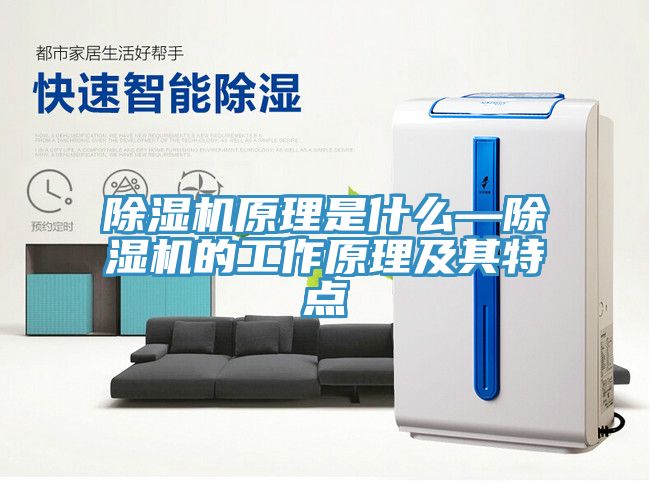 猫咪成人官网原理是什么—猫咪成人官网的工作原理及其特点