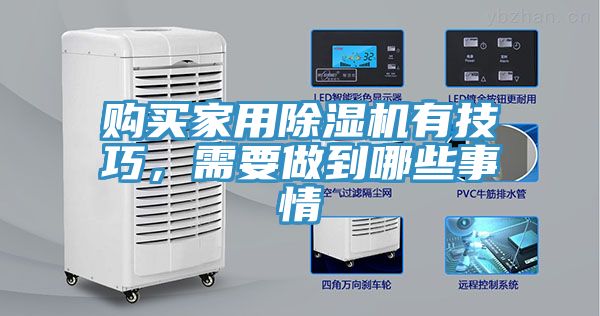 购买家用猫咪成人官网有技巧，需要做到哪些事情