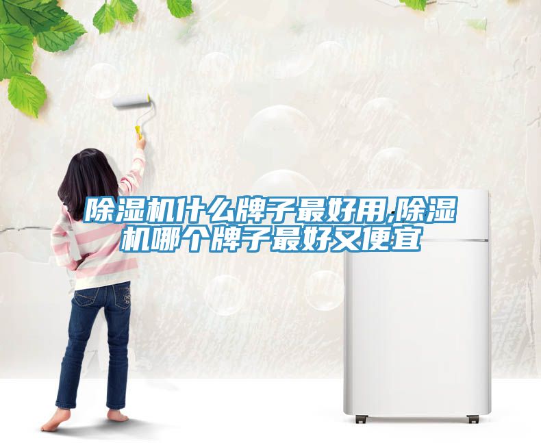 猫咪成人官网什么牌子最好用,猫咪成人官网哪个牌子最好又便宜
