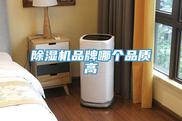 猫咪成人官网品牌哪个品质高