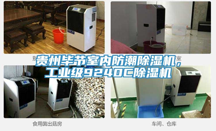 贵州毕节室内防潮猫咪成人官网，工业级9240C猫咪成人官网