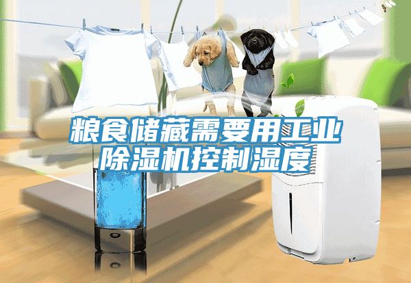 粮食储藏需要用工业猫咪成人官网控制湿度